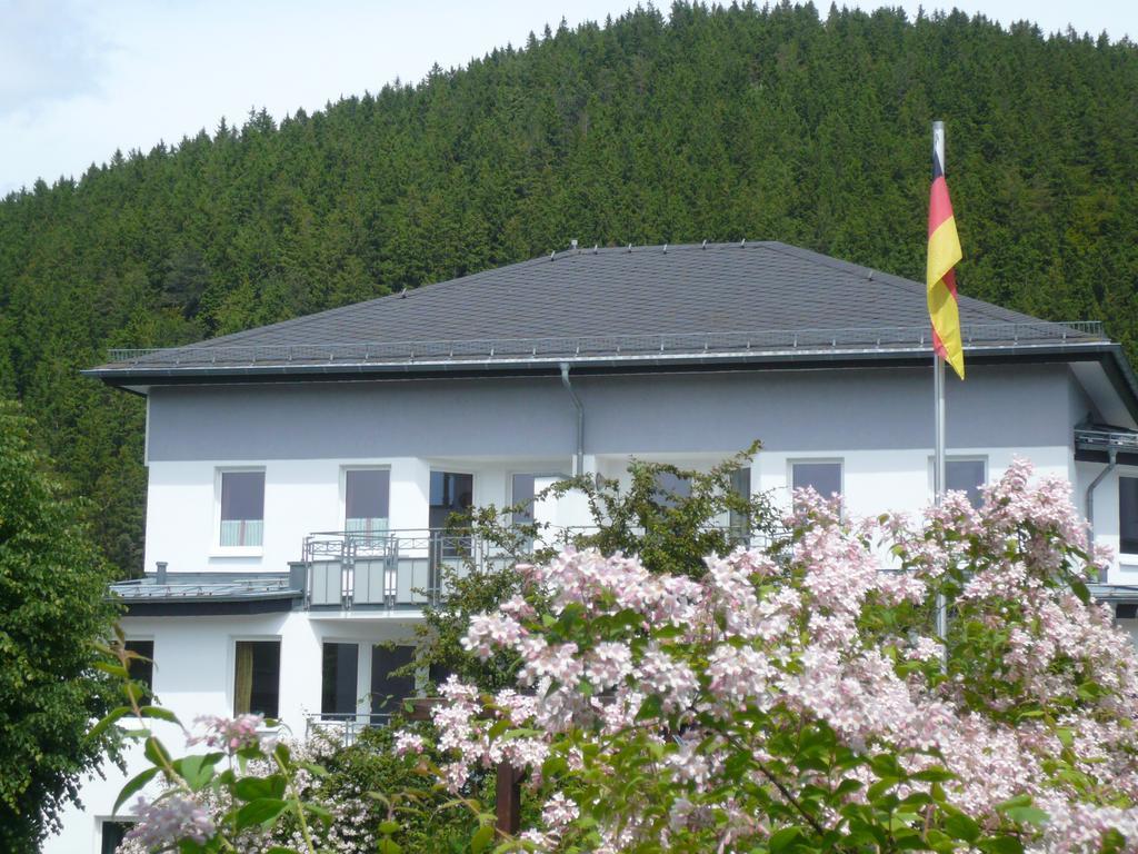 Fewo Penthaus-Blick Willingen  Bagian luar foto