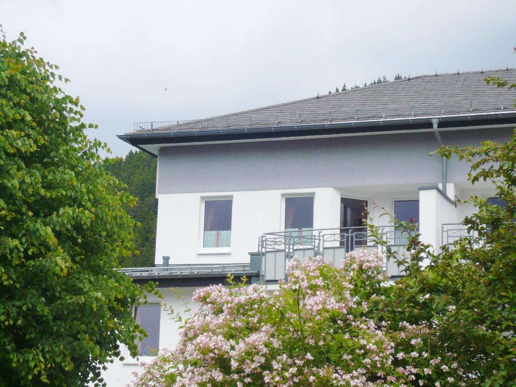Fewo Penthaus-Blick Willingen  Bagian luar foto